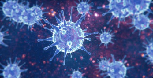 Immunology and Immune System