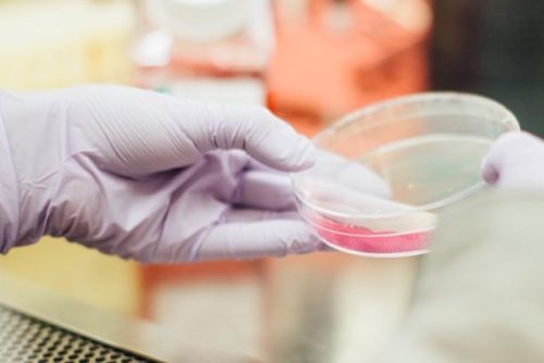 Four Points You May Consider to Generate a Stable Cell Line