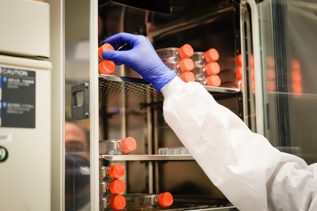 cell culture in carbon dioxide incubator