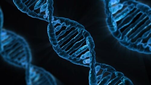 Cell Engineering Tools: CRISPR/Cas9 Systems