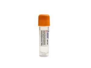 ARP1165 Human Bronchial Epithelial Cells (Idiopathic Pulmonary Arterial Hypertension, IPAH)