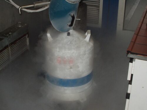 Cell Cryopreservation: Why We Use -80°C and Liquid Nitrogen